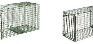 Duke Cage Trap